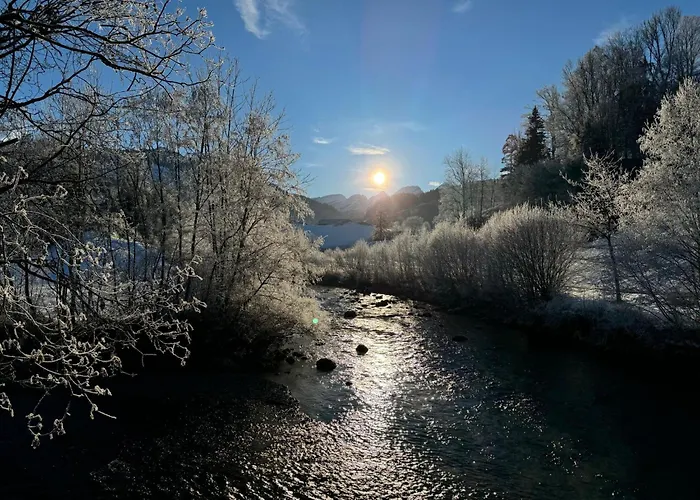 Daire Zwingli's By Interhome *