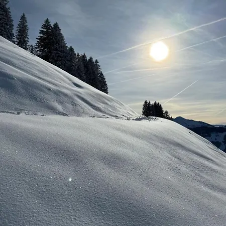 Zwingli's By Interhome Nesslau