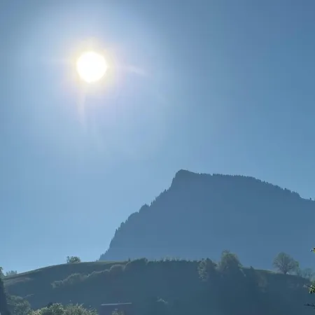 Zwingli's By Interhome