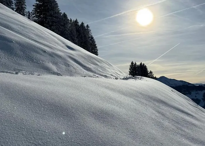 Zwingli's By Interhome Nesslau